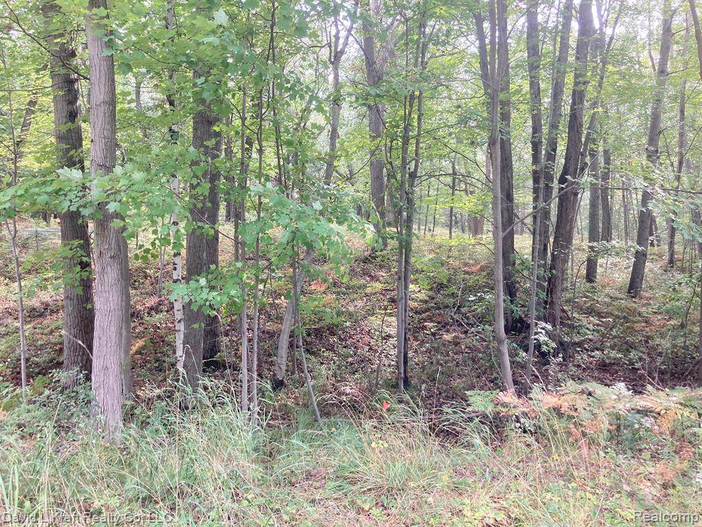 3415 Loosemore Road - Photo 1