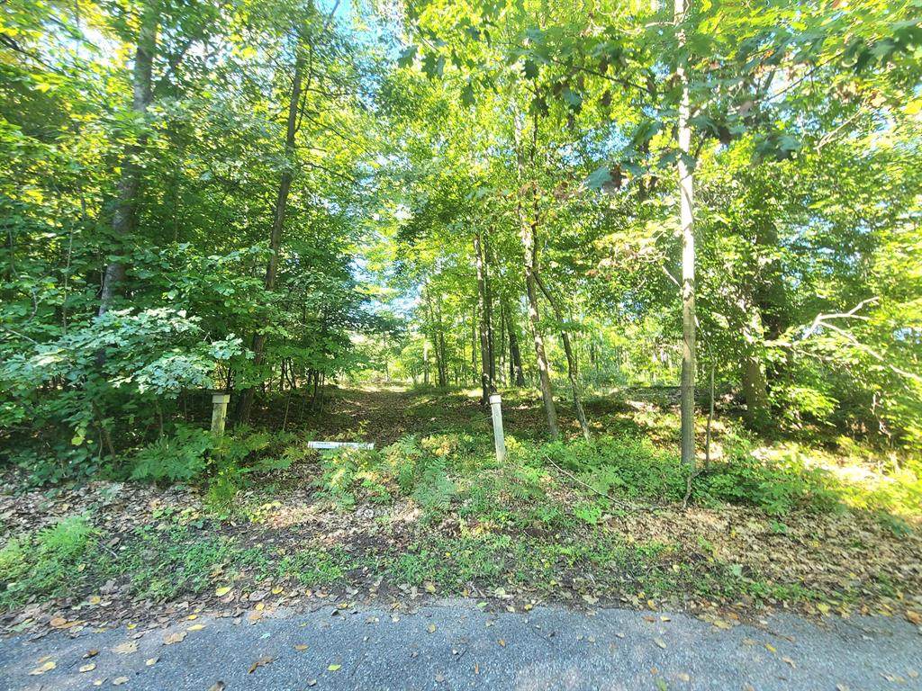 Parcel A Spruce Drive - Photo 1
