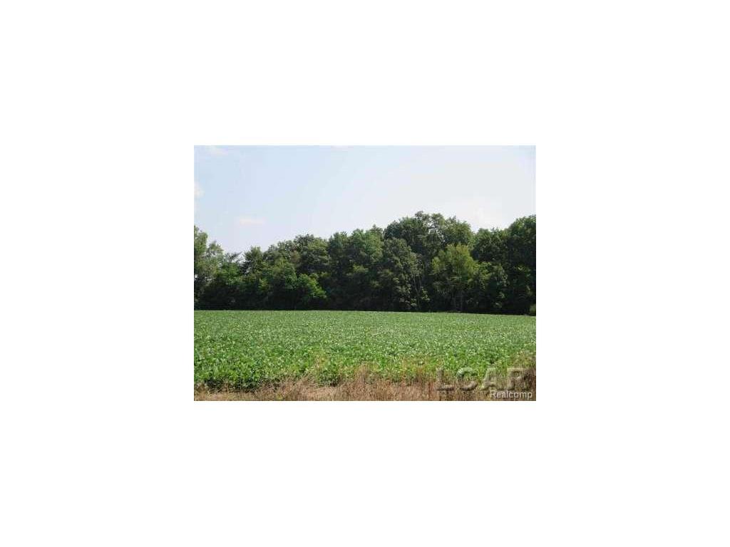2000 Dinius Rd Blk, Bryan Dr - Photo 1