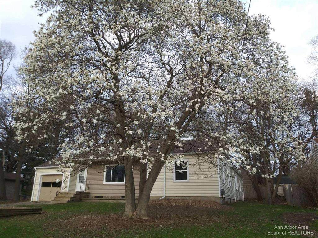 2245 Maple Drive - Photo 1