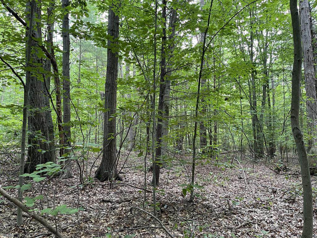 0 Walker Road - Photo 1