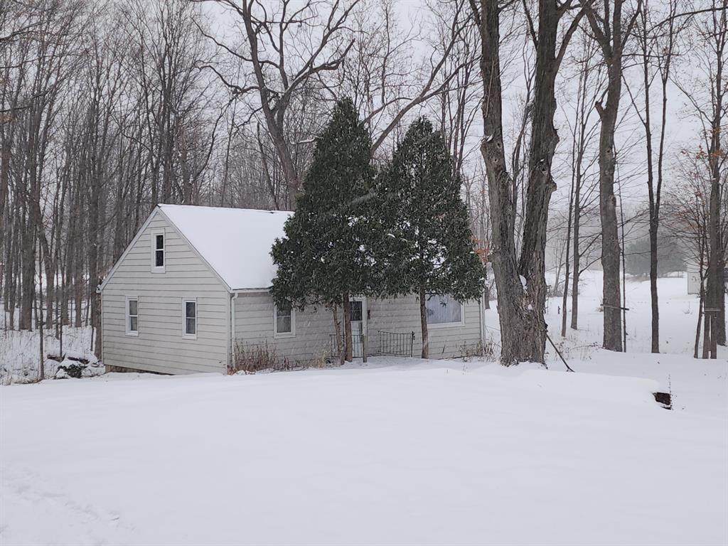 4049 Red Arrow Highway - Photo 1