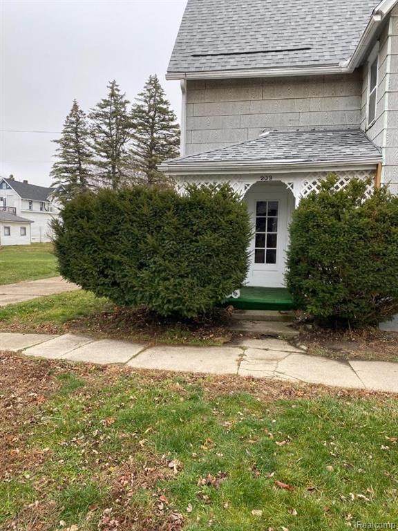 203 Brown Street - Photo 1