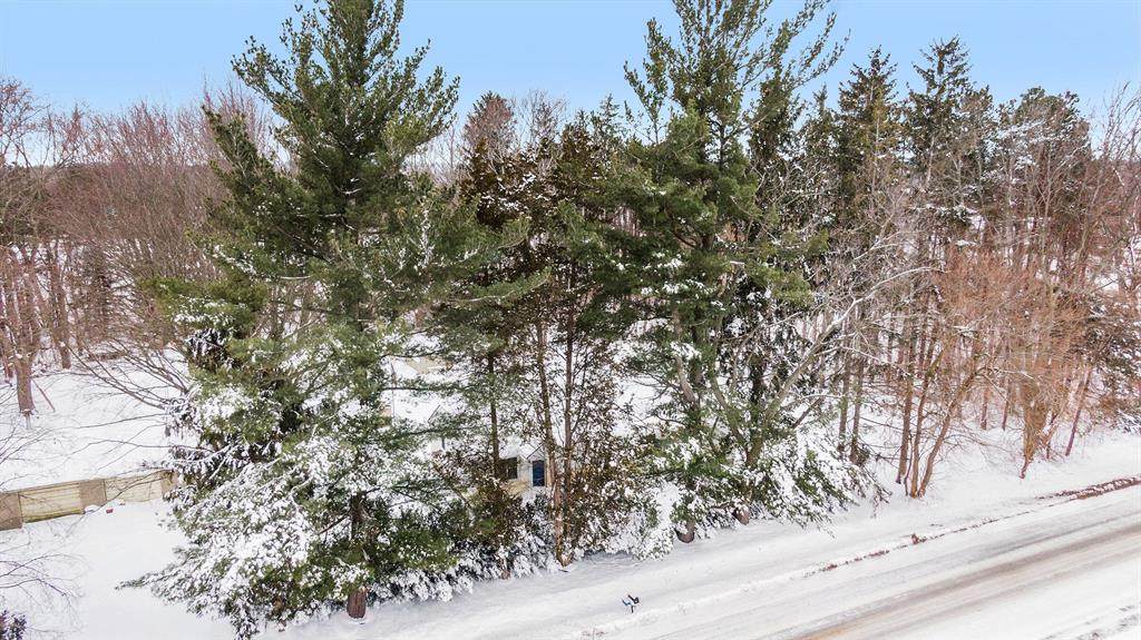 4388 Beeline Road - Photo 1