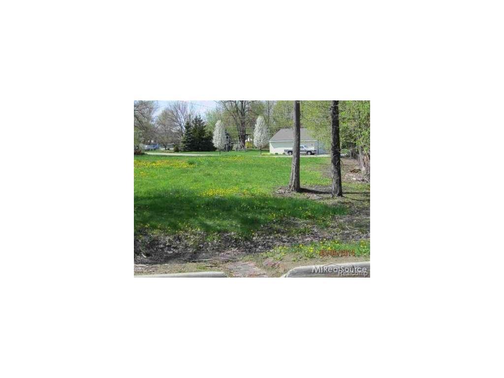 0 Clintonview - Photo 1