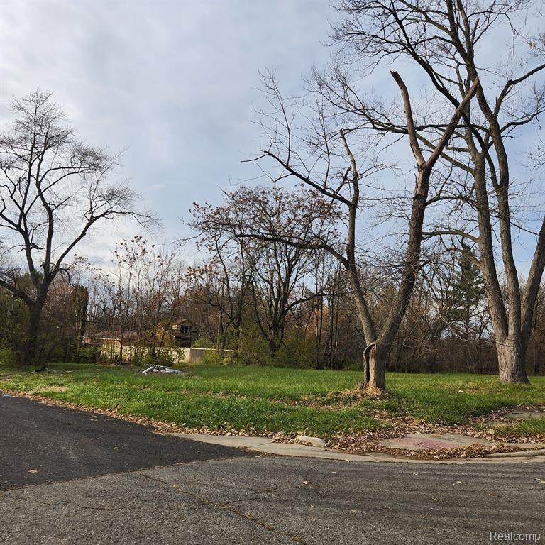 15401 Hazelton Street - Photo 1