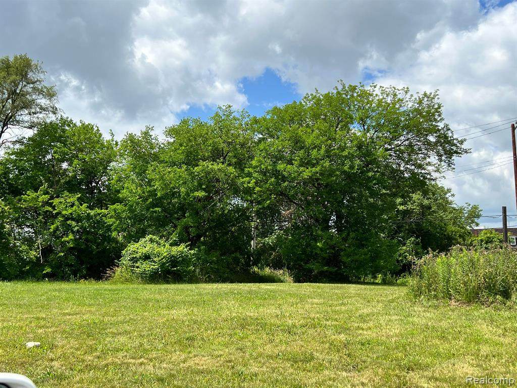 571 Edsel Ford Freeway - Photo 1