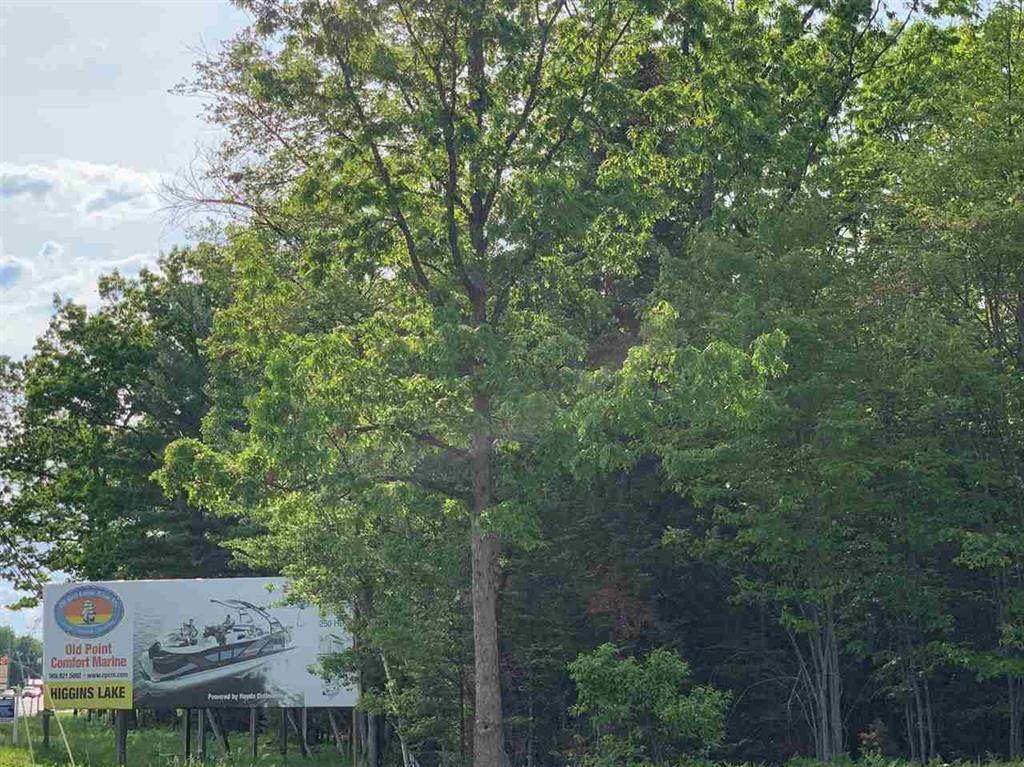 XXX Houghton Lake Drive - Photo 1