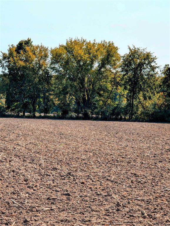  31 Mile Road - Photo 1