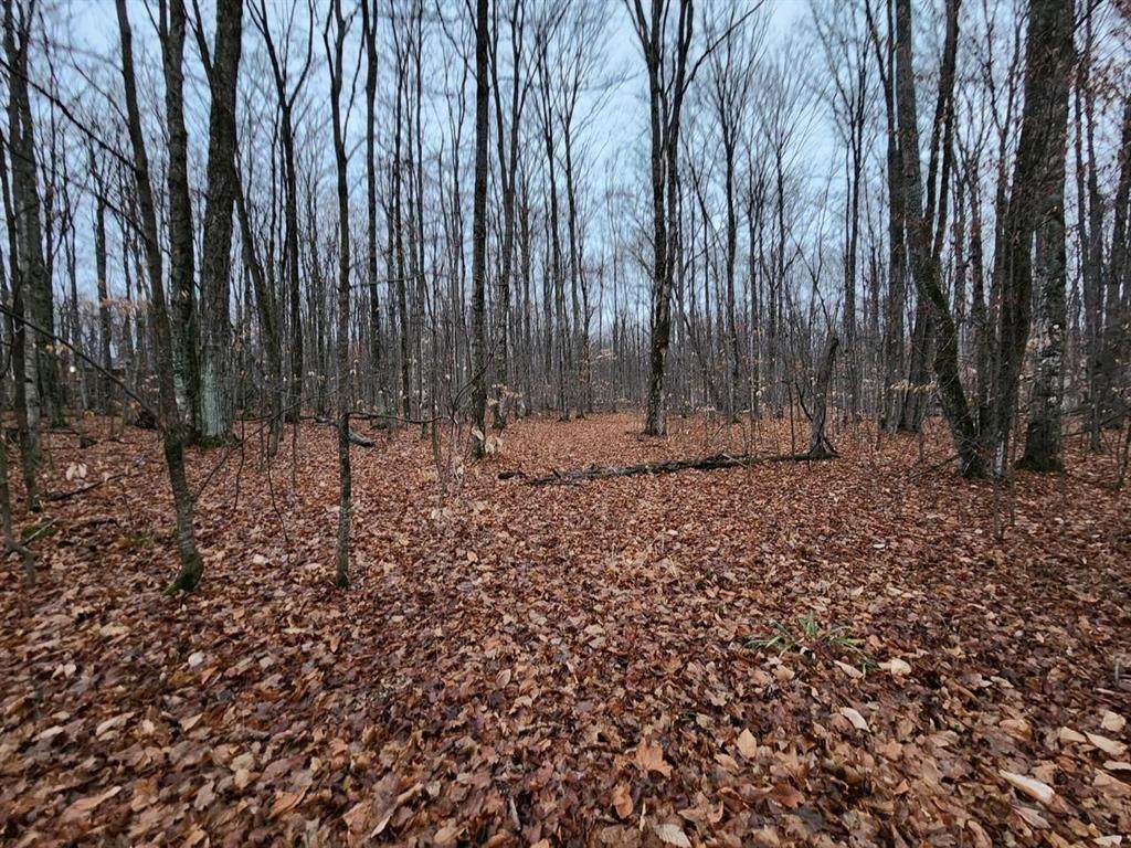 00 Woodline Road - Photo 1