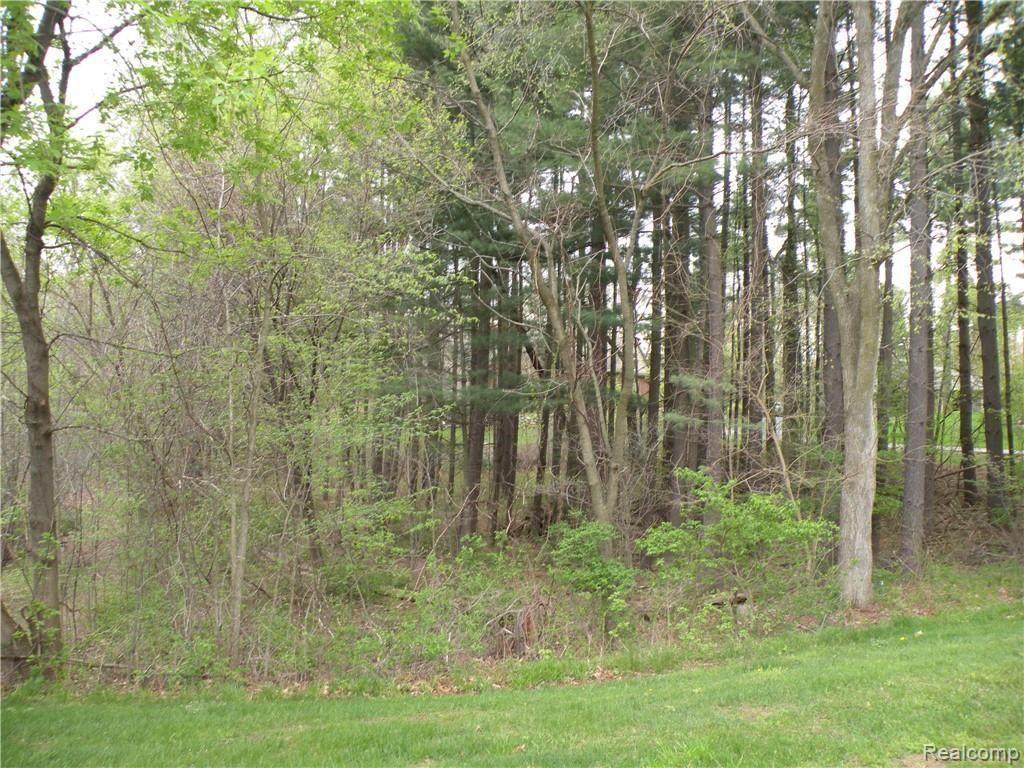 https://bt-photos.global.ssl.fastly.net/michigan/orig_boomver_1_622083357-2.jpg