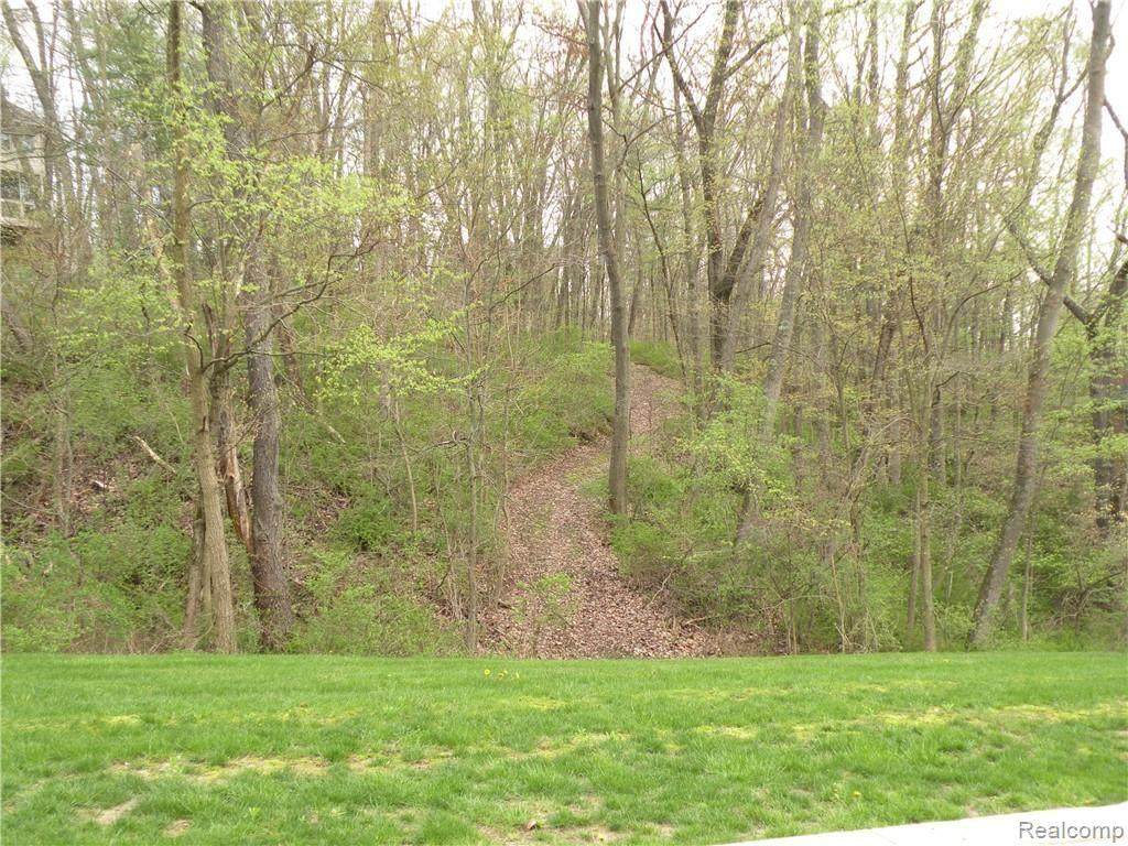 https://bt-photos.global.ssl.fastly.net/michigan/orig_boomver_1_622083357-2.jpg