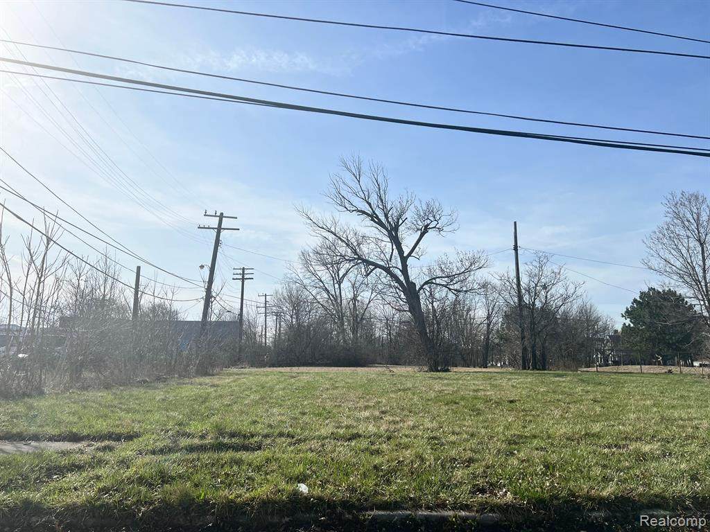 1925 Merrick Street - Photo 1