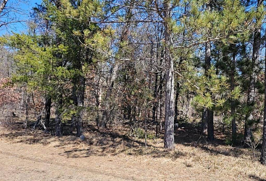 Site 6 Lumberjack Court - Photo 1