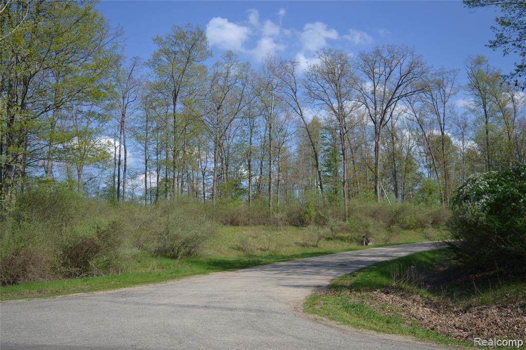 00 Oak Ridge Court - Photo 1