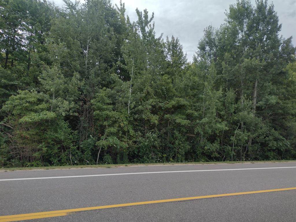 0000 Blue Star Highway - Photo 1
