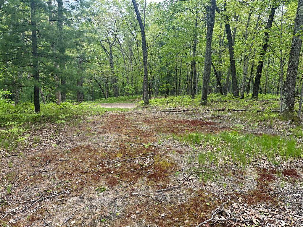 9846 Oxpath - Photo 1