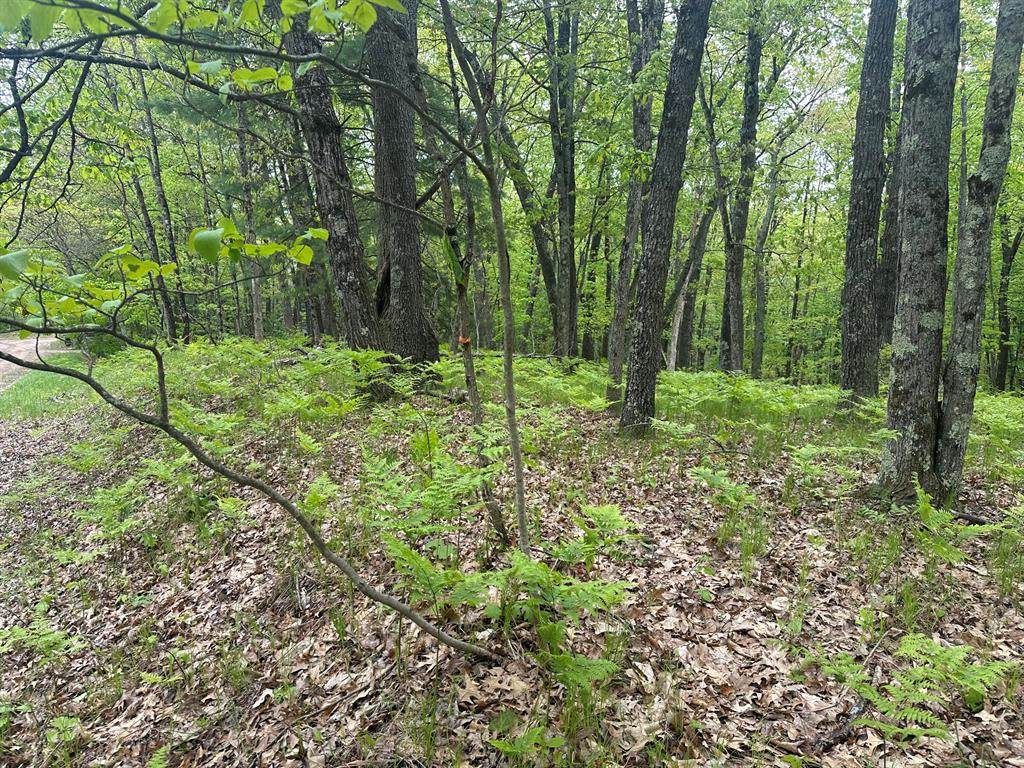 00 Oxpath - Photo 1