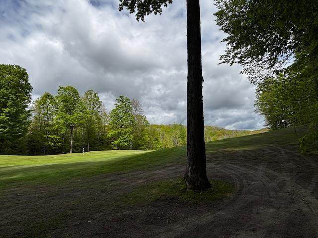 Unit 24 Forest Trail - Photo 1