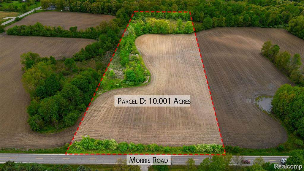 Lot D Morris - Photo 1