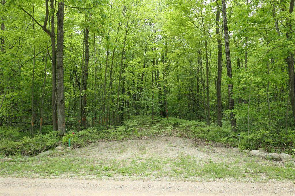 TBD Lakeside Trail - Photo 1