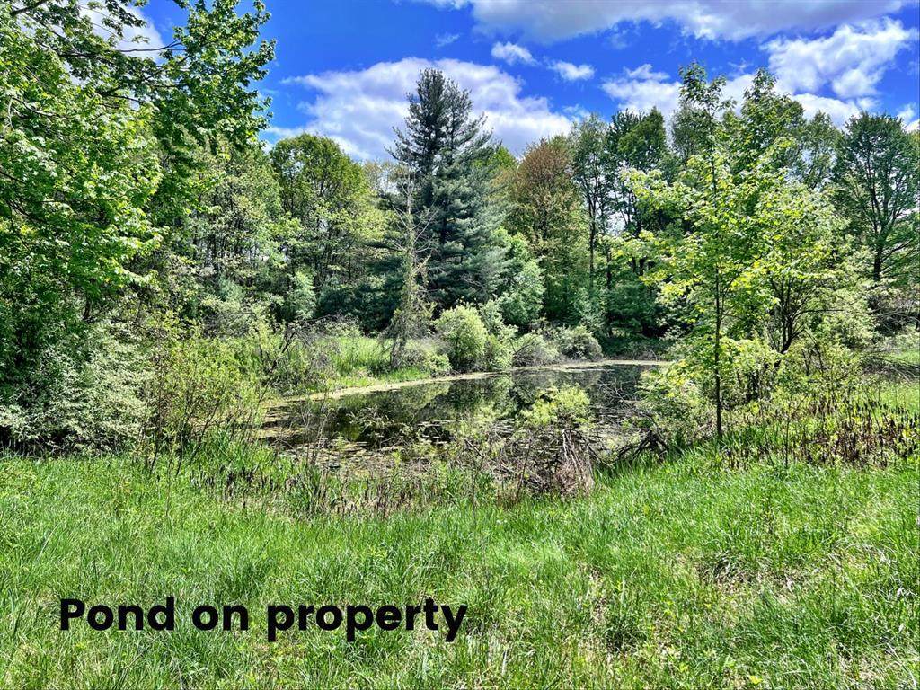 10701 Elizabeth Road - Photo 1