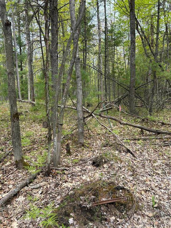 Muncie View Trail - Photo 1