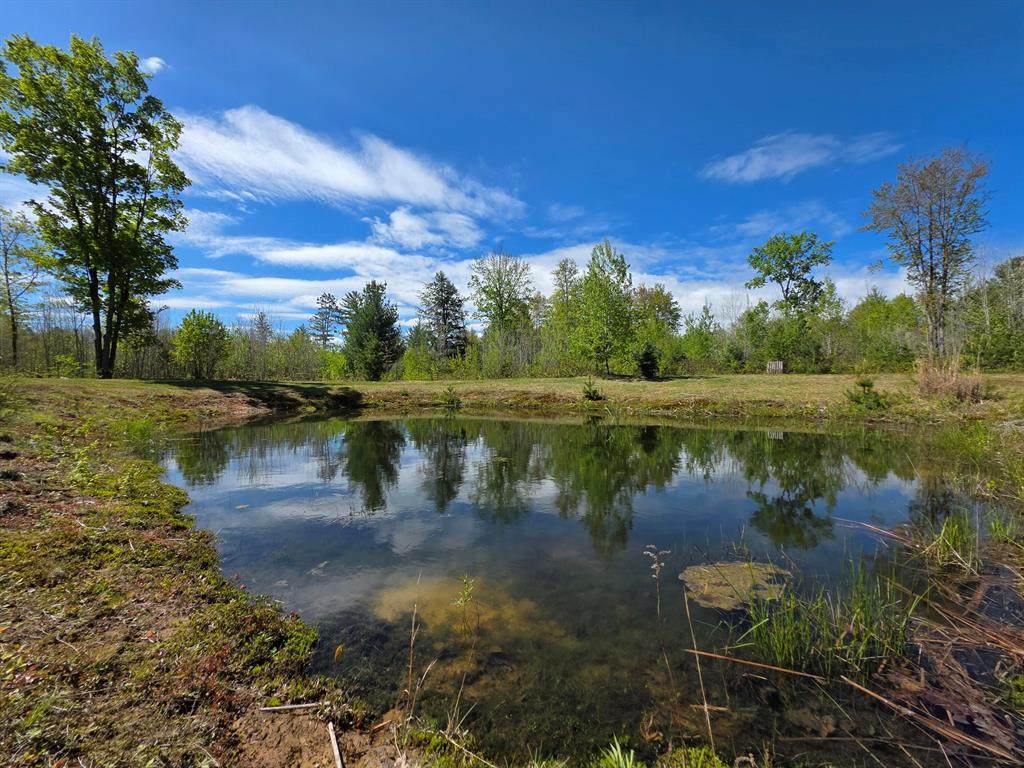 2147 Beyer Road - Photo 1