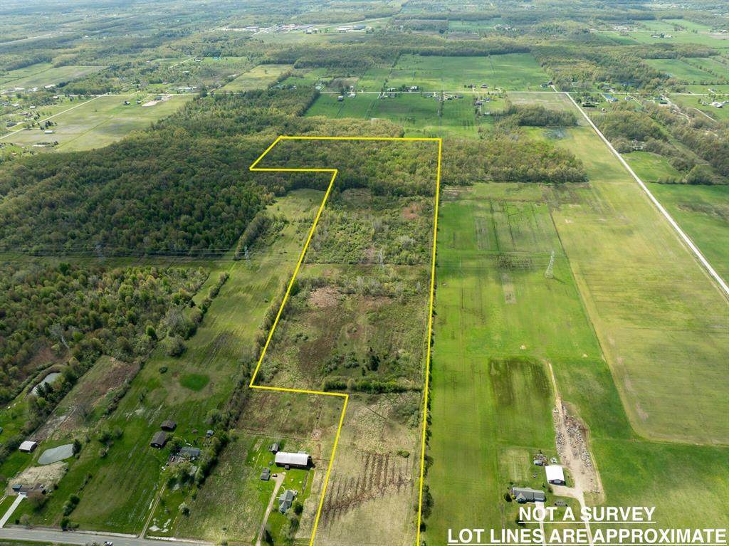 7375 Meisner Road - Photo 1