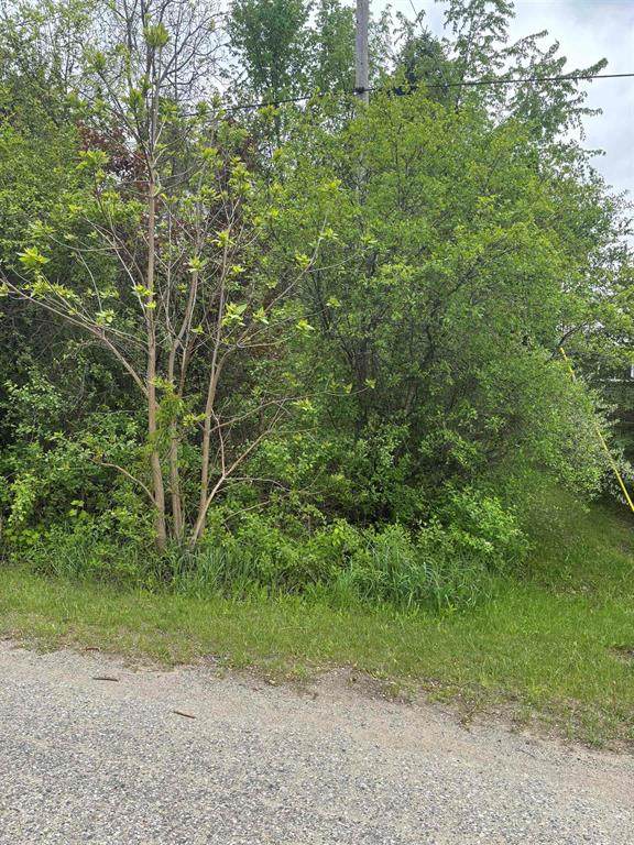Lot 49 Leona Drive - Photo 1