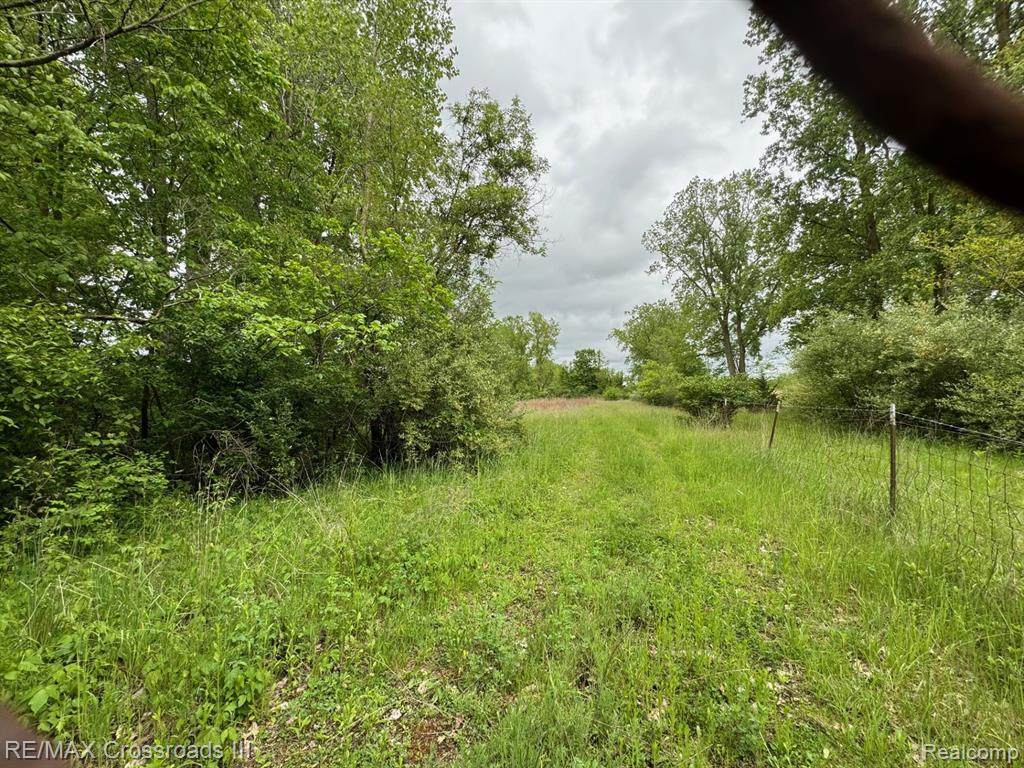 VACANT Oakville Waltz Road - Photo 1
