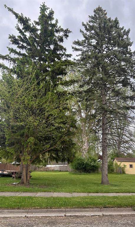 1716 Maple Street - Photo 1