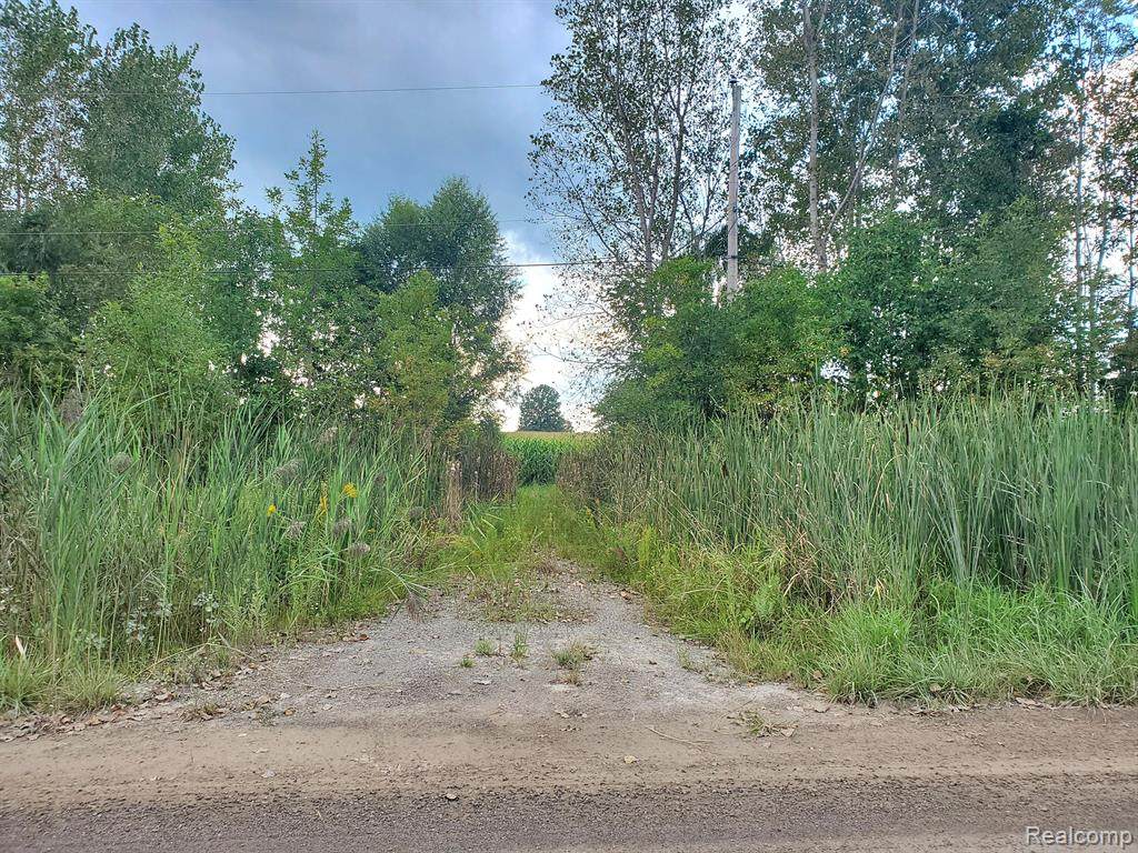 10102 Sharp Road - Photo 1
