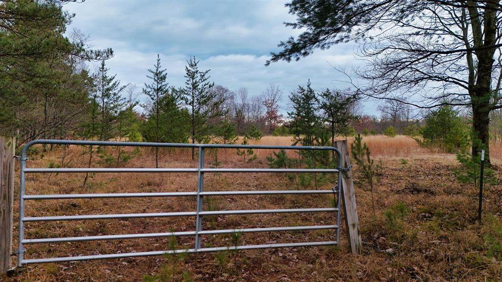3726 Custer Road - Photo 1