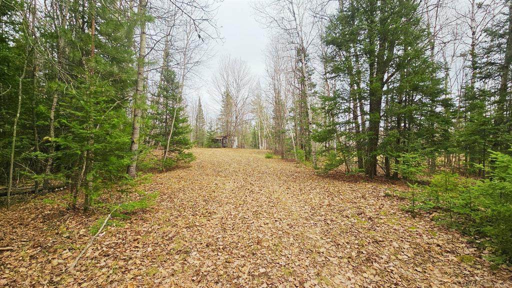 853 Calderwood Lot D Road - Photo 1
