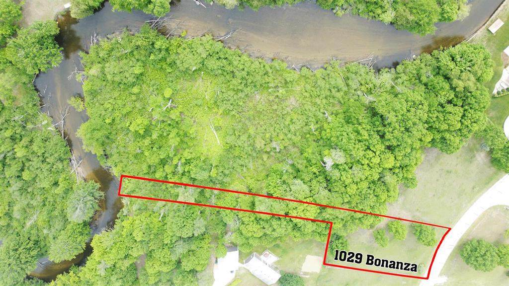 1029 Bonanza Lane - Photo 1