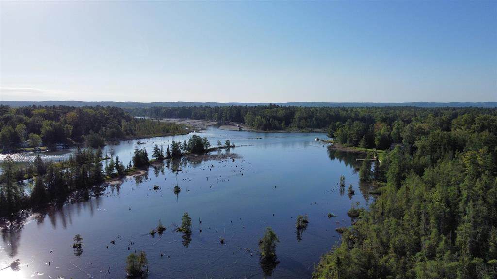 12907 Torch River Road - Photo 1