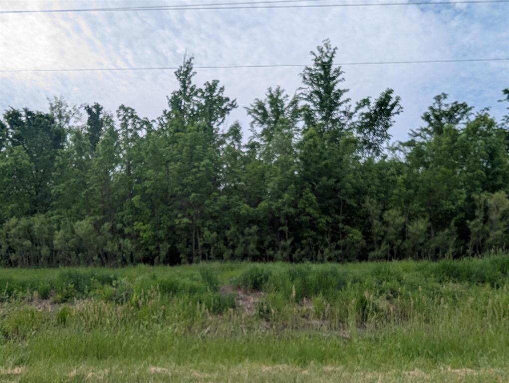 N/A Twining Road - Photo 1