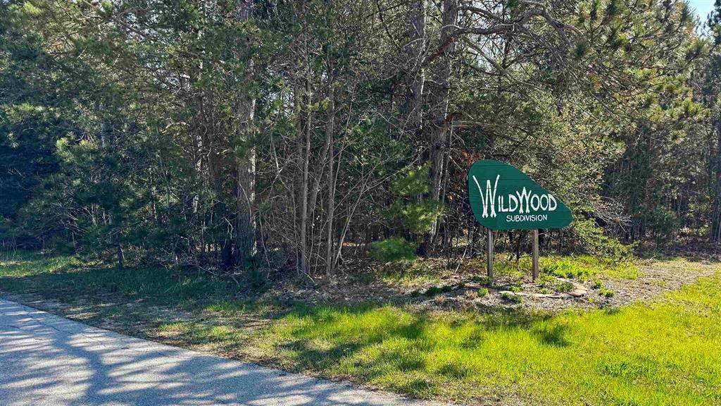Lot 8 Whitetail Drive - Photo 1
