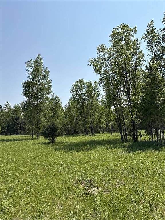 V/L 200th Avenue - Photo 1