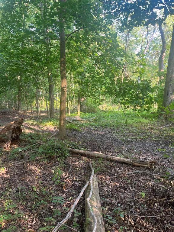 11000 Macon Highway - Photo 1