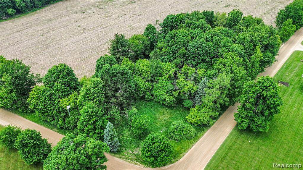 5227 Old State Road - Photo 1