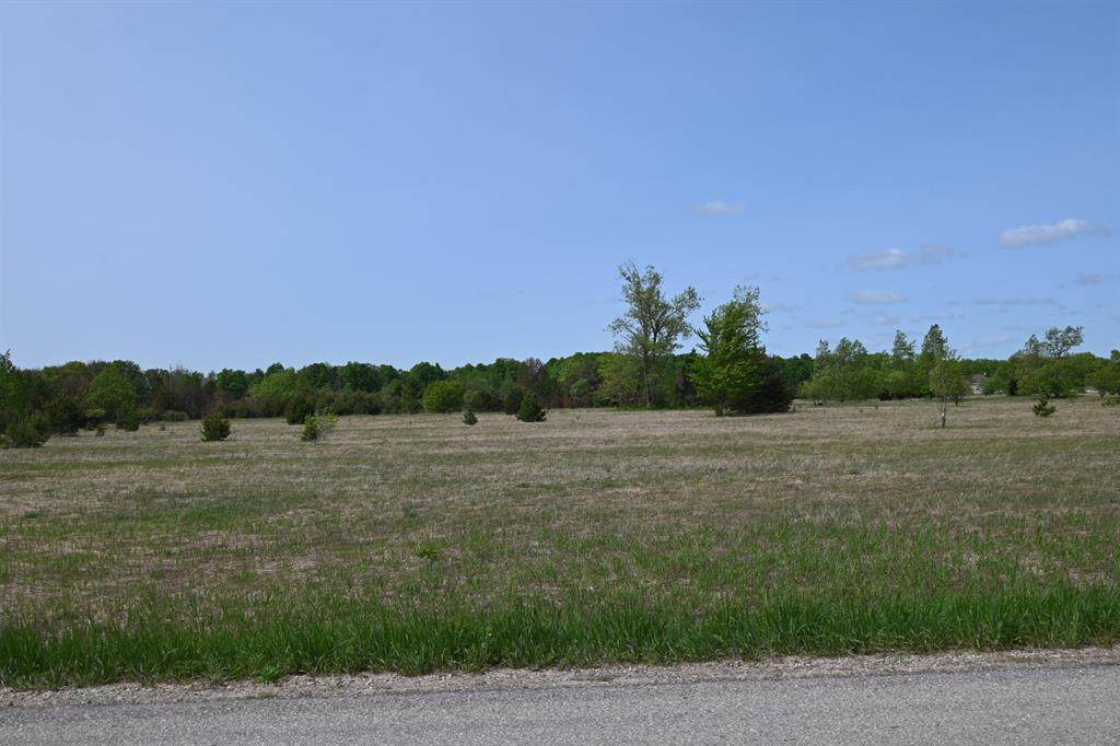 936 Motz Road - Photo 1
