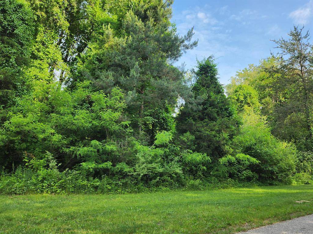 6591 Phoenix Court - Photo 1