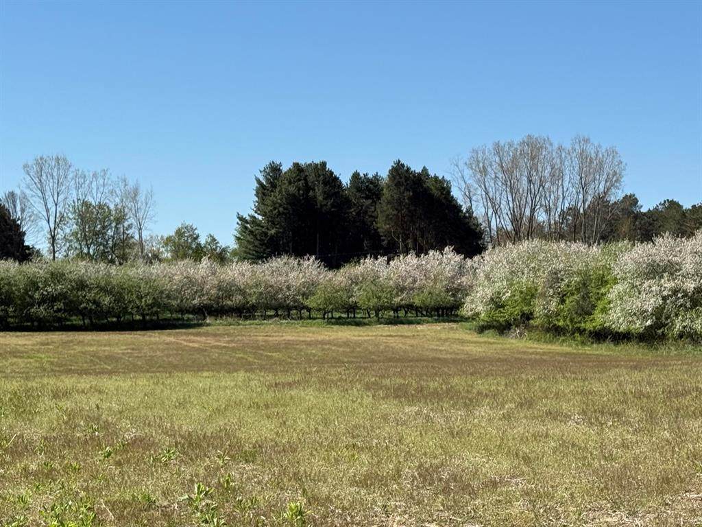 5140 37 Mile Road Road - Photo 1
