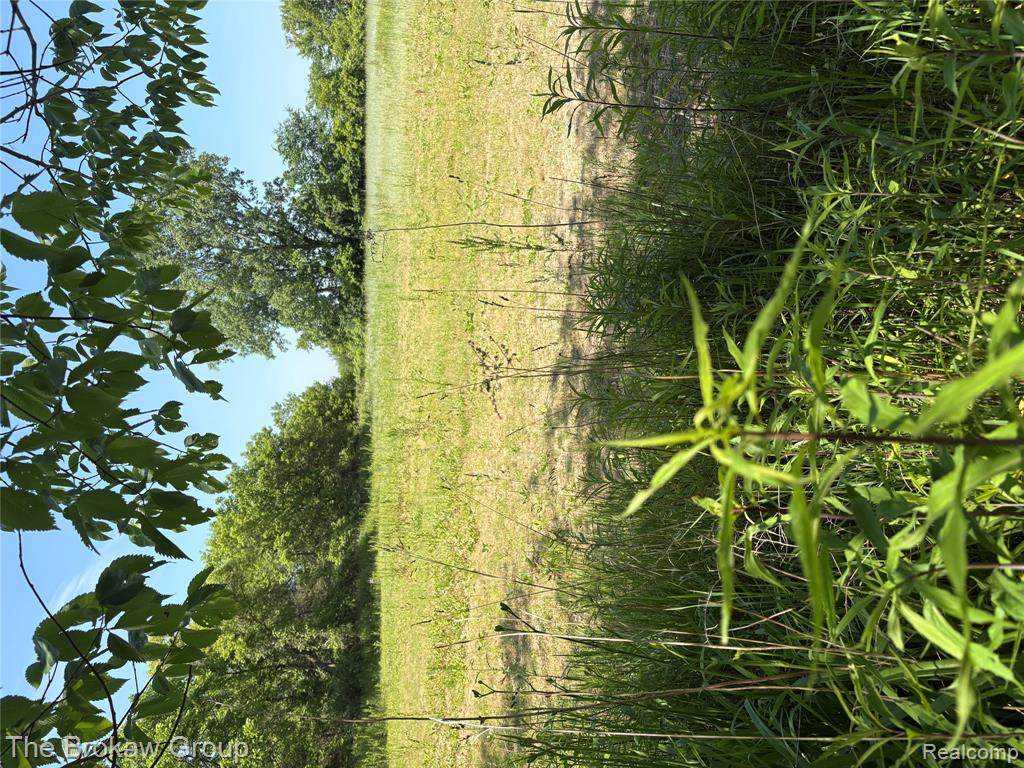 5091 Irish Road - Photo 1