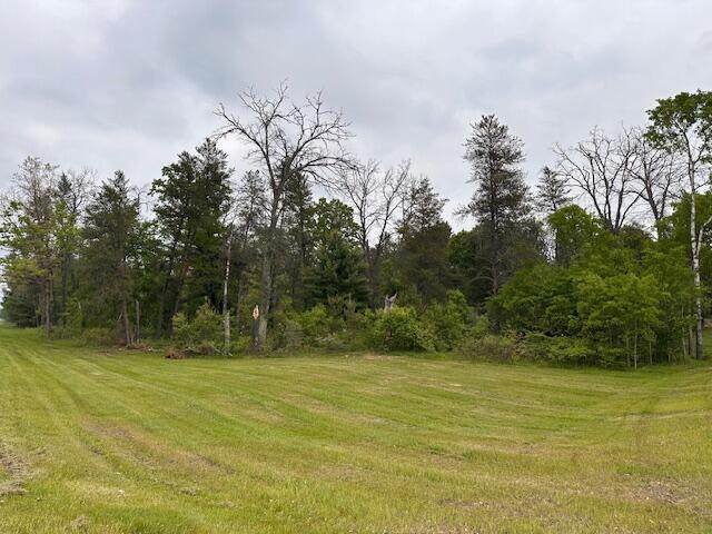 M-37 - Photo 1