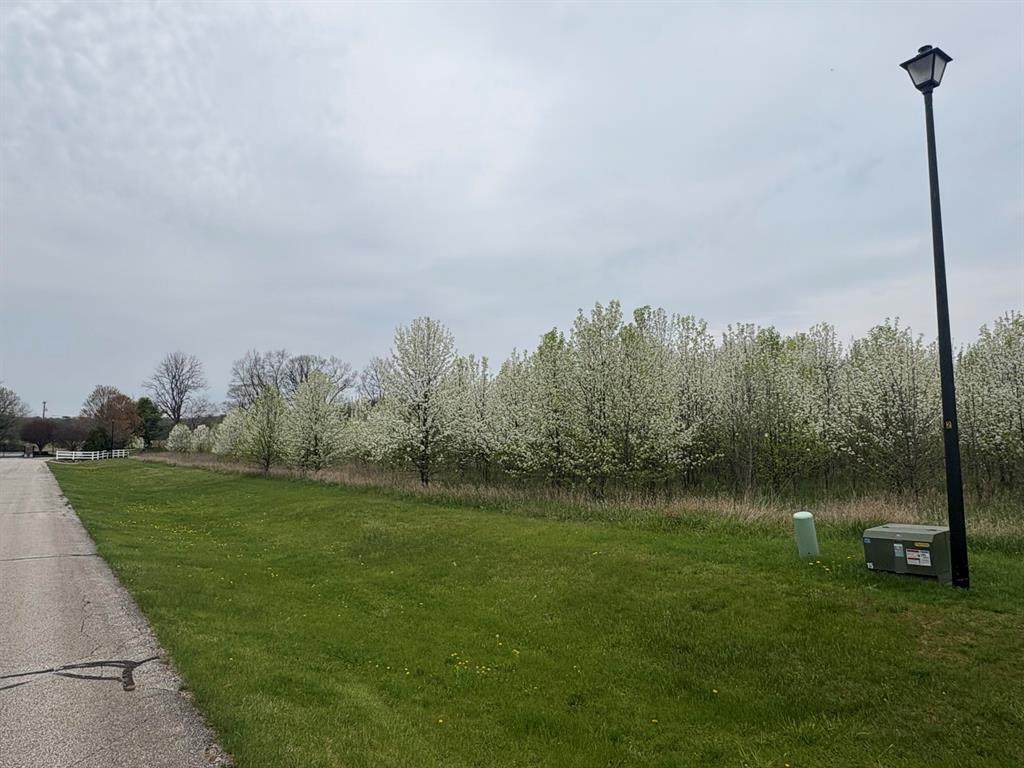 Lot 1 Stratford Court - Photo 1