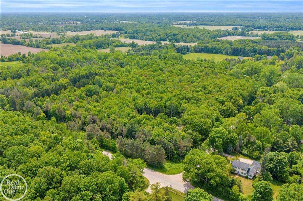 7515 Rynn Road - Photo 1