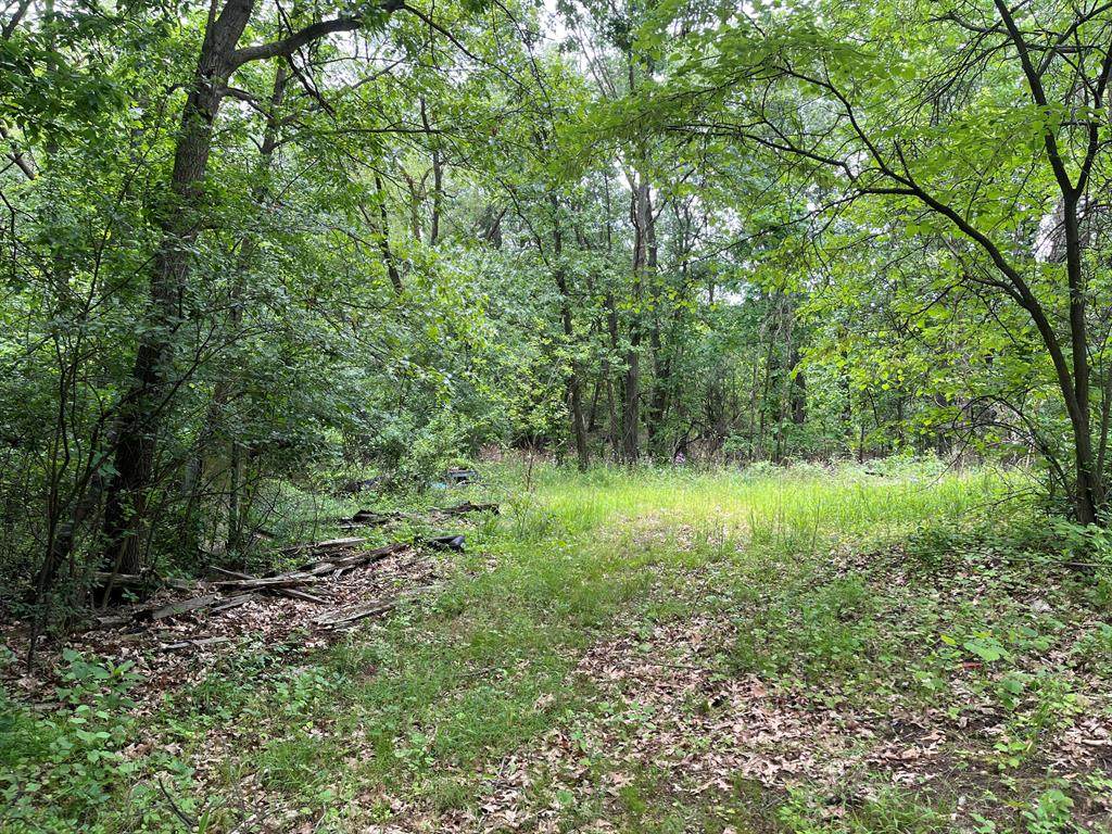 129 Fox Avenue - Photo 1